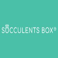 Succulents Box